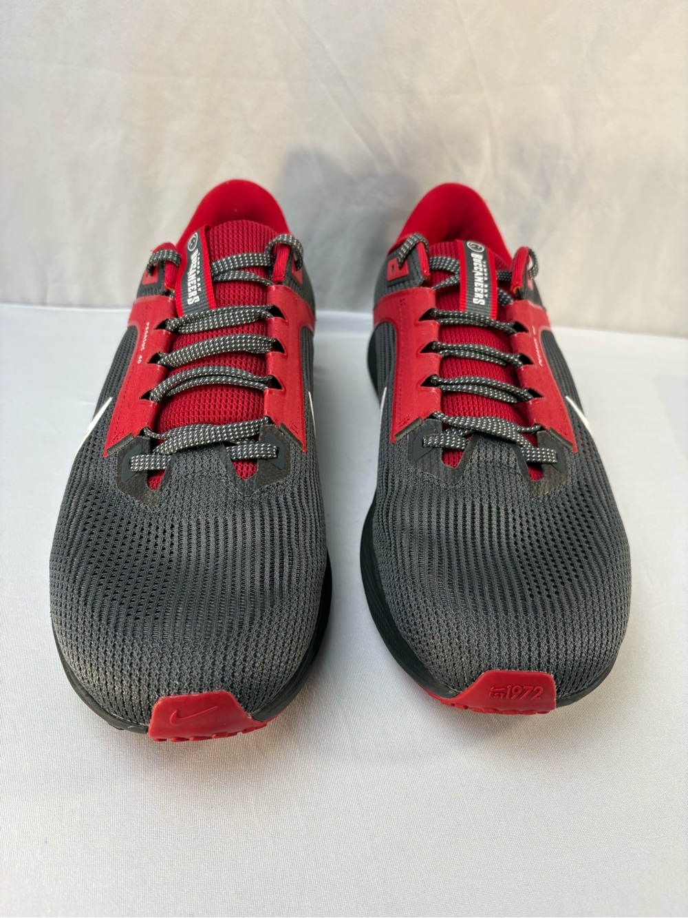 Nike Air Zoom Pegasus 40 NFL Tampa Bay Buccaneers Mens 11 Grey Red DZ5995-001 - Picture 2 of 7